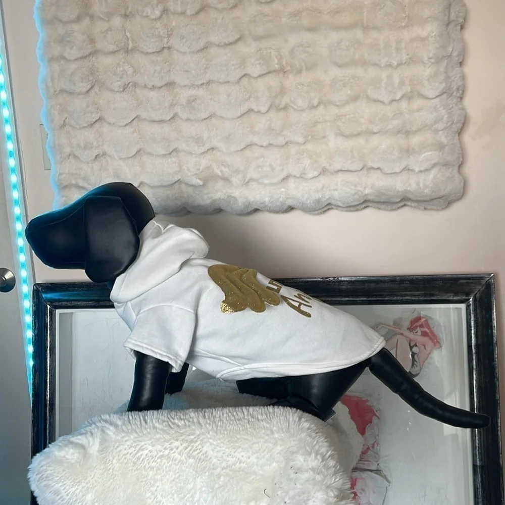 Spooky night little angle costume for dogs NWOT so cute good and white and wings